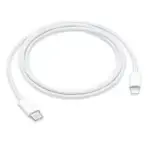 usb c to lightning cable (1 m)
